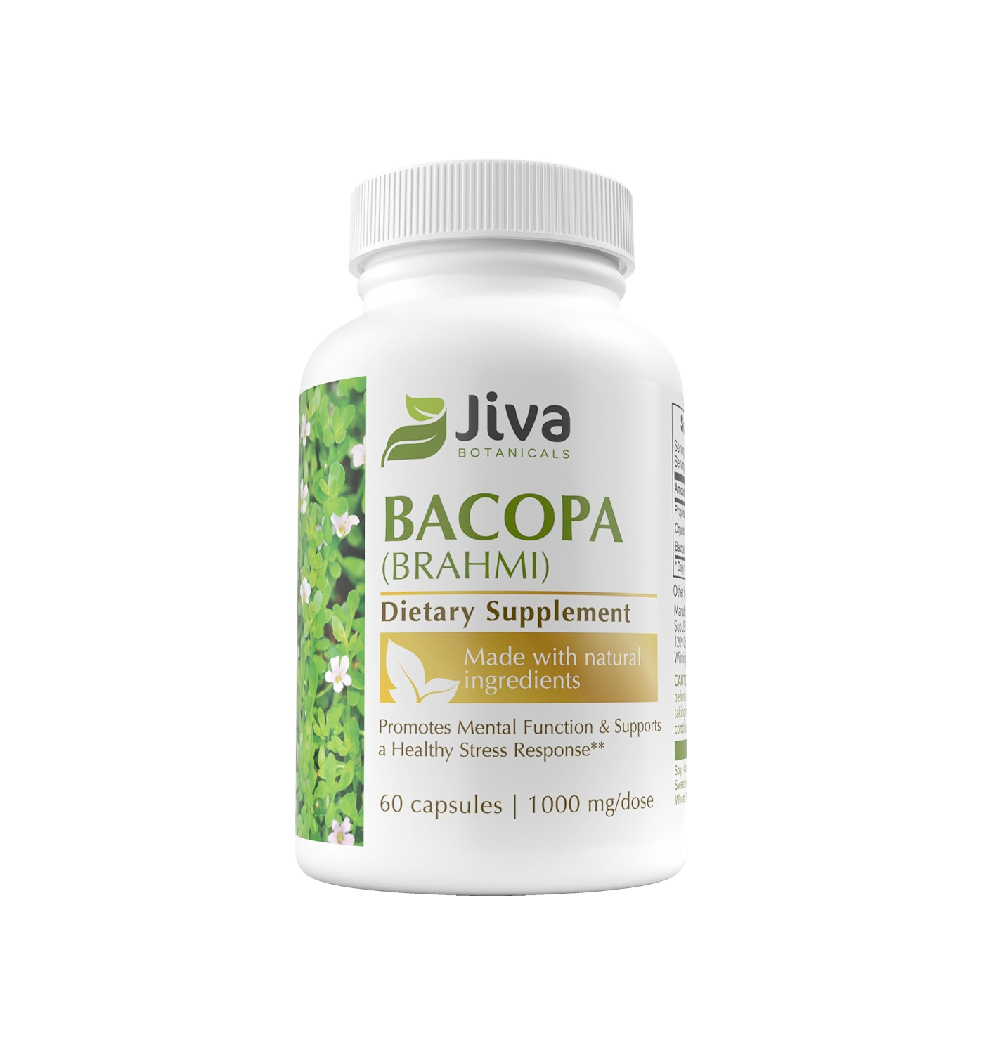 Jiva Botanicals Bacopa Monnieri